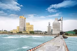 Vicem Hải Vân ghi nhận lợi nhuận trước thuế 2023 âm 64 tỷ 