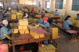 Quy mô Công ty thực phẩm Yên Bái vừa bị phạt về môi trường