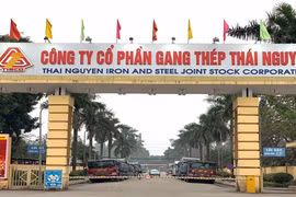 Lý giải khoản lỗ kỷ lục của Gang thép Thái Nguyên