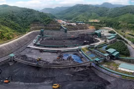 Vi phạm thuế bị phạt hơn 1,8 tỷ, doanh thu Than Vàng Danh ra sao?