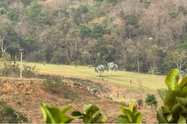 Giám đốc chi nhánh ngân hàng làm sân golf mini trên đất rừng để giải trí?