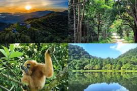 Vườn quốc gia Việt Nam 5 năm liên tiếp lọt top hàng đầu châu Á