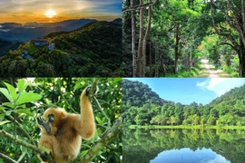 Vườn quốc gia Việt Nam 5 năm liên tiếp lọt top hàng đầu châu Á