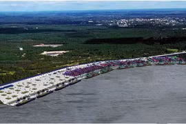 Cảng Phước An liên tiếp “trắng” doanh thu, sao vẫn tăng vốn?