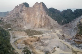 Tổng Công ty CP Đầu tư xây dựng Minh Tuấn bị phạt nặng, vì sao?