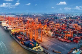 Soi lãi lỗ XNK Quảng Bình, công ty vừa bị phạt thuế 6 tỷ