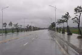 Trước khi rà soát, Tây Nam Bộ trúng thầu dự án cây xanh nào?