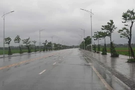 Trước khi rà soát, Tây Nam Bộ trúng thầu dự án cây xanh nào?