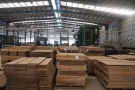 Công ty Đầu tư Sao Thái Dương bị phạt vì lỗi gì?