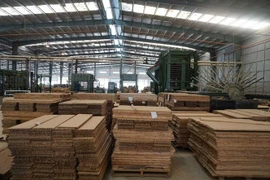 Công ty Đầu tư Sao Thái Dương bị phạt vì lỗi gì?