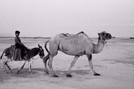 Chùm ảnh đen trắng hiếm có về đất nước Trung Quốc năm 1956