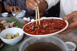 Đáng sợ hình ảnh về bệnh nhiễm liên cầu khuẩn lợn