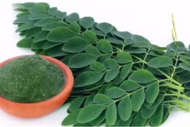 Video: Loại rau mọi người thờ ơ được ví như “thần dược” ngừa ung thư 