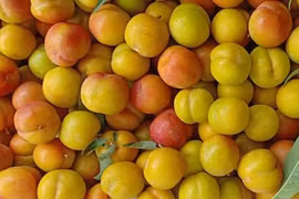 Việt Nam hết mùa, 4 loại mận Trung Quốc đang áp đảo toàn chợ