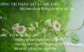 Bị mỉa mai mua nhẫn cưới rẻ tiền, cô gái đáp trả khiến nhân viên cúi đầu xin lỗi