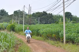 Vì sao dự án sân bay Long Thành "giậm chân tại chỗ"?