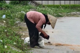 Giả vờ đánh rơi ví thử lòng bà cụ ve chai, Vlogger nổi tiếng nhận cái kết bất ngờ