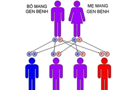 9 căn bệnh di truyền thường gặp ở người