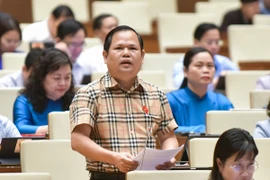 ĐBQH đề nghị xử lý hình sự bỏ cọc đấu giá tài sản