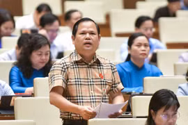 ĐBQH đề nghị xử lý hình sự bỏ cọc đấu giá tài sản