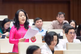 ĐBQH: Nói cần phải có một bộ SGK chuẩn là hiểu không đúng Nghị quyết 88