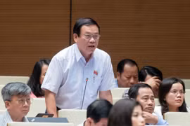 ĐBQH: Vụ khiếu nại về oan sai dài nhất, 25 năm chưa kết thúc