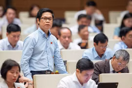 ĐBQH: Du lịch Việt Nam “đi trước về sau” do chính sách visa