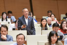 ĐBQH: Một người thân bị đột quỵ, tiền trong nhà “đội nón ra đi“