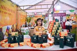 Nữ giám đốc Trần Thị Thuần: Thành công từ… bán tăm dạo