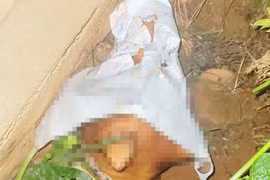 Hội Nhà báo tỉnh Gia Lai đề nghị điều tra vụ phóng viên bị đe dọa