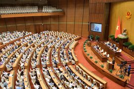 Quốc hội thảo luận về thu hồi đất cho Cảng hàng không quốc tế Long Thành