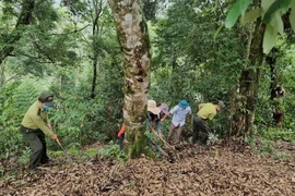 Nhiều điểm “vênh” giữa Dự thảo Luật đất đai (sửa đổi) và Luật Lâm nghiệp