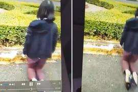 Giáo viên quỳ gối xin gặp lãnh đạo tỉnh Đắk Lắk, vì sao?