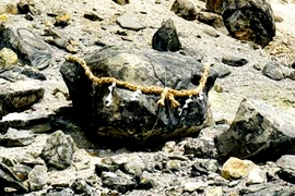 Hòn đá "phong ấn cáo 9 đuôi" bất ngờ tách đôi, người Nhật lo lắng 