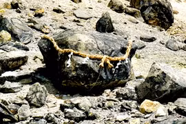 Hòn đá "phong ấn cáo 9 đuôi" bất ngờ tách đôi, người Nhật lo lắng 