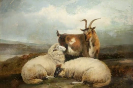 Tháng 6 âm lịch, 4 con giáp bị tiểu nhân hãm hại tán gia bại sản