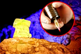 Phát hiện công cụ xăm hình lâu đời nhất, chuyên gia sửng sốt vì...