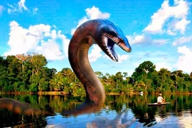 Bí ẩn rùng rợn trong rừng nhiệt đới, chuyên gia chật vật giải mã 