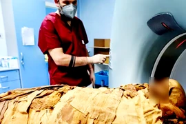 Công bố sự thật chấn động về mùi xác ướp Ai Cập cổ đại