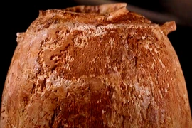 Tìm thấy bình ngà voi 6.000 năm, chấn động lai lịch thật