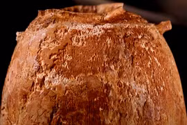 Tìm thấy bình ngà voi 6.000 năm, chấn động lai lịch thật