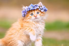 10 ngày tới, 4 con ngồi im Thần Tài mang tiền bạc tới tận cửa