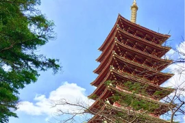 Khám phá Bảo tháp có 1-0-2 tại ngôi chùa hoành tráng nhất Tây Nguyên