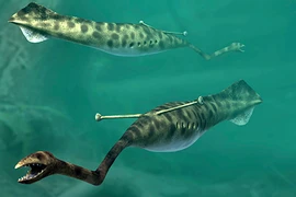 Hé lộ siêu quái vật là nỗi ám ảnh của đại dương thời cổ đại 