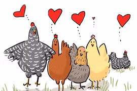 4 tháng liên tiếp, con giáp sau đào hoa phơi phới, tài lộc ập tới