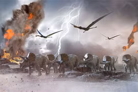 Thiên thạch xóa sổ khủng long, loài vật nào vẫn ung dung sống khỏe? 