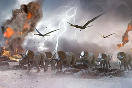 Thiên thạch xóa sổ khủng long, loài vật nào vẫn ung dung sống khỏe? 