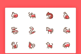 Dự đoán tuần mới từ 26/7/2021 đến 1/8/2021 cho 12 con giáp