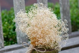 Sinh vào 7 ngày đại cát này, chắc chắn giàu sang phú quý trọn đời 