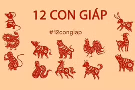 Tử vi tuần từ 14 đến 20/9/2020 cho 12 con giáp: Mão, Thìn, Dậu vào bảng vàng